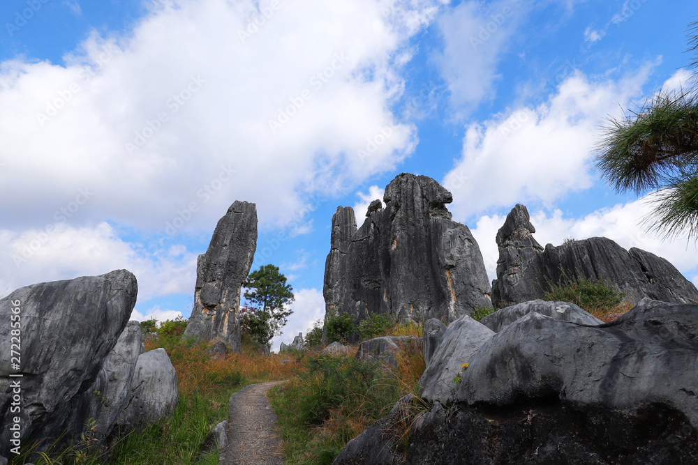 The Stone Forest landscape in Yunnan. This is a limestone formations located in Shilin Karst area, Yunnan, China