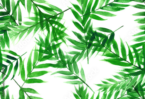 Watercolor seamless pattern green tropical leaves.Hand painted botanical summer illustration on white background