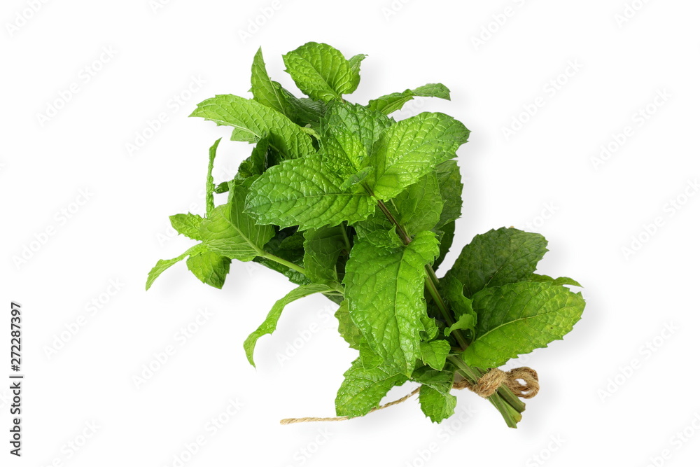 fresh mint leaves mentha piperita leaves herb isolated in white background fresh mint leaves mentha piperita leaves herb isolated in white background