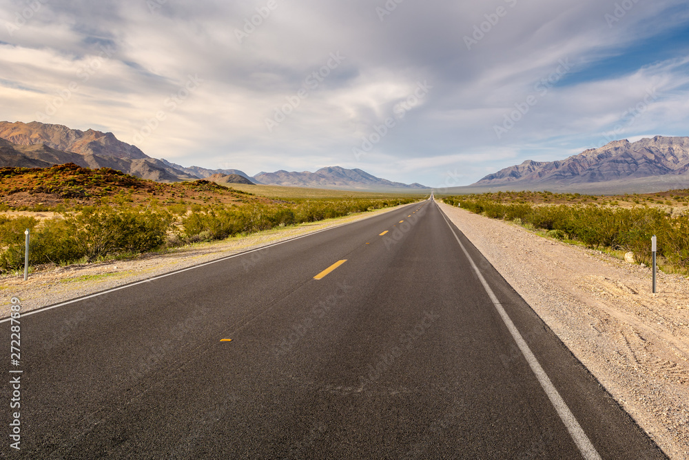 Road along the desert landscape of California, USA