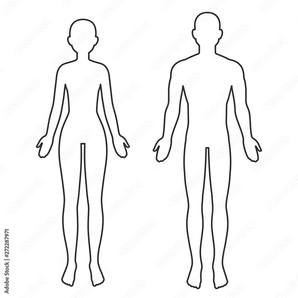 Male and female body outline Stock Vector | Adobe Stock