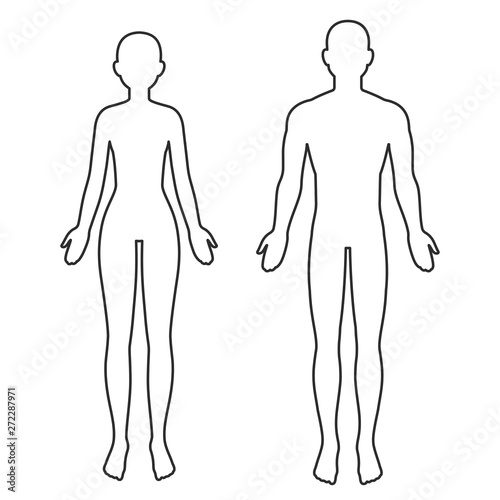 Male and female body outline