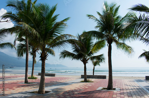 DA NANG SCENERY - beach with coconut tree