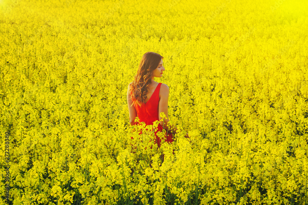Fototapeta premium Young beautiful girl in a red dress close up in the middle of yellow field with radish flowers and sunlight..