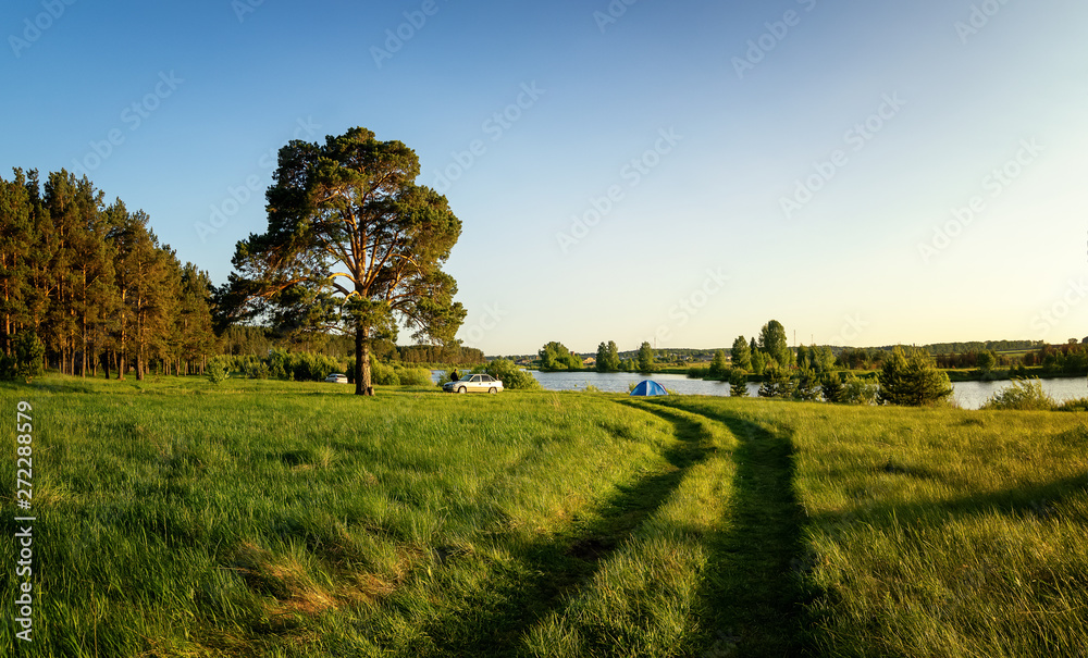 Fototapeta premium summer landscape on the river Bank with pine and tourist tent, Russia,June