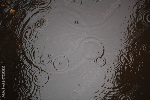 Rain drops rippling in a puddle on a dark, rainy day.