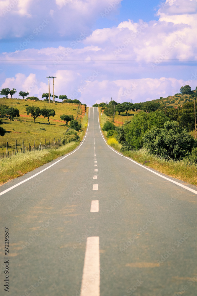 landscape of country road. Countryside road