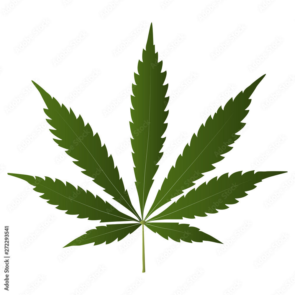 Marijuana cannabis leaf weed icon, medicine, drug Marijuana cannabis leaf weed icon, medicine, drug