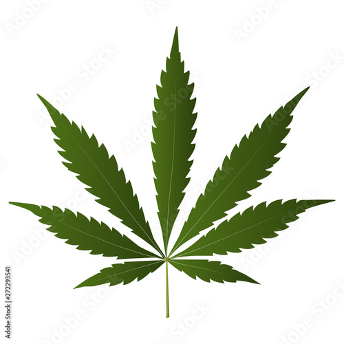 Marijuana cannabis leaf weed icon, medicine, drug