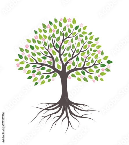 Tree with flowers, green leaves and roots. Isolated on white background. Flat style, vector illustration.