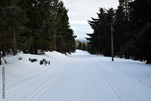 Cross-country skiing route in Izera mountains. Mountain winter track. Winter landscape.