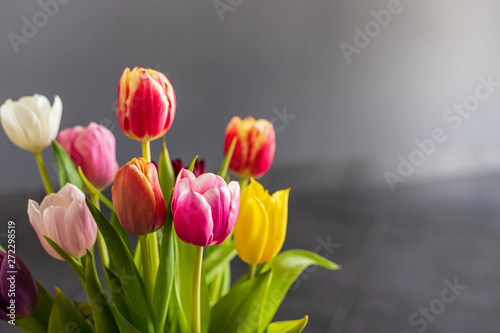 Colorful tulip flowers as greeting card. Mothersday or spring concept.