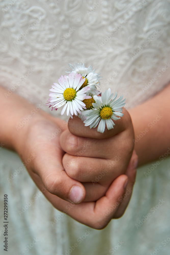Girl holds a bouquet of daisies in her hands. Girl holds a bouquet of daisies in her hands.