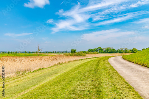 View over the Elbauen in Lower Saxony  Germany. You see a landscape with meadows  fields and trees near the river Elbe bikeway.