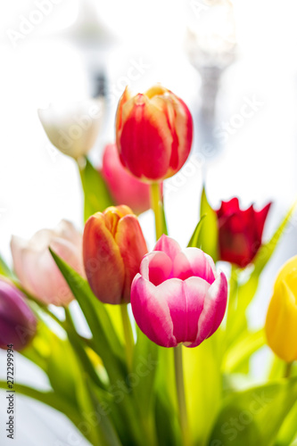 Colorful tulip flowers as greeting card. Mothersday or spring concept.