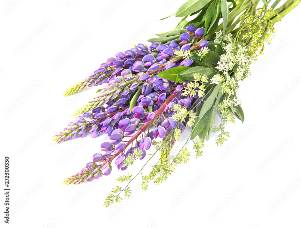 Blue lupines bouquet isolated on white background. Meadow natural wildflowers bouquet.