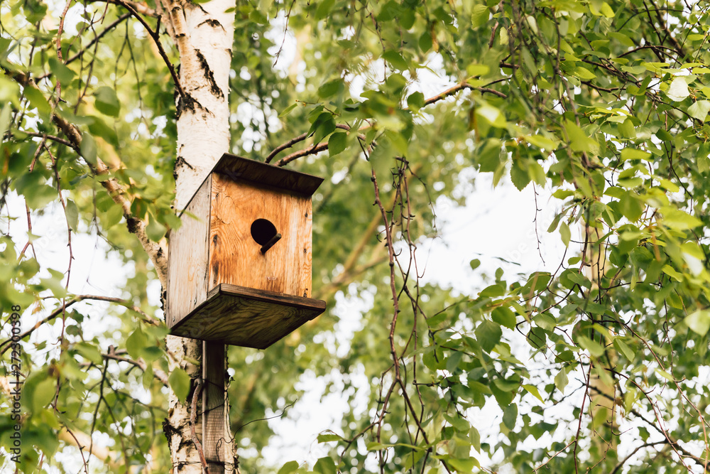 Homemade birdhouse for birds made of wood attached to a birch tree.