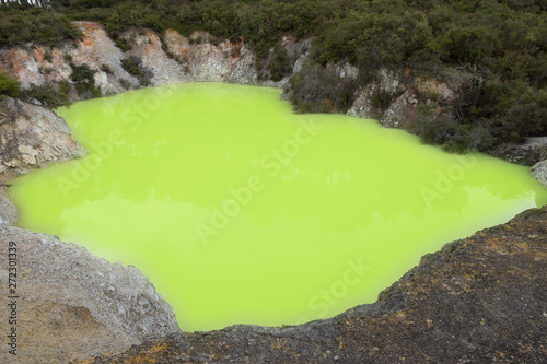 Roto Karikitea sulphur lake, or ‘the devil's bath’, showcasing vivid acid green colors in Wai-O-Tapu geothermal area in Rotorua, New Zealand photo