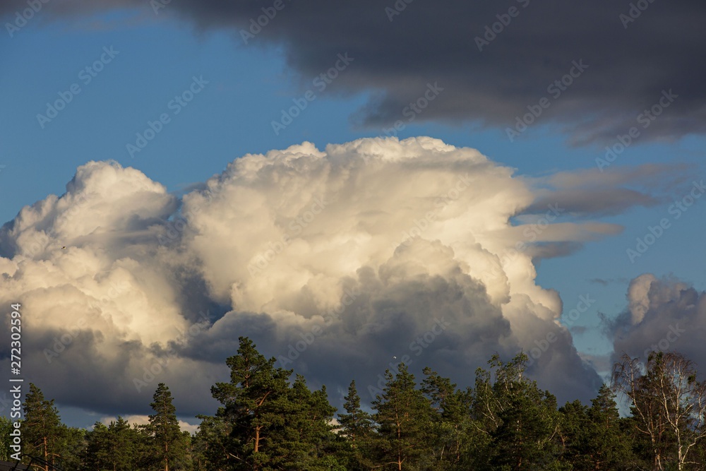Gorgeous view of beautiful thunderclouds in blue sky above green tree tops. Beautiful nature backgrounds. Gorgeous view of beautiful thunderclouds in blue sky above green tree tops. Beautiful nature backgrounds.