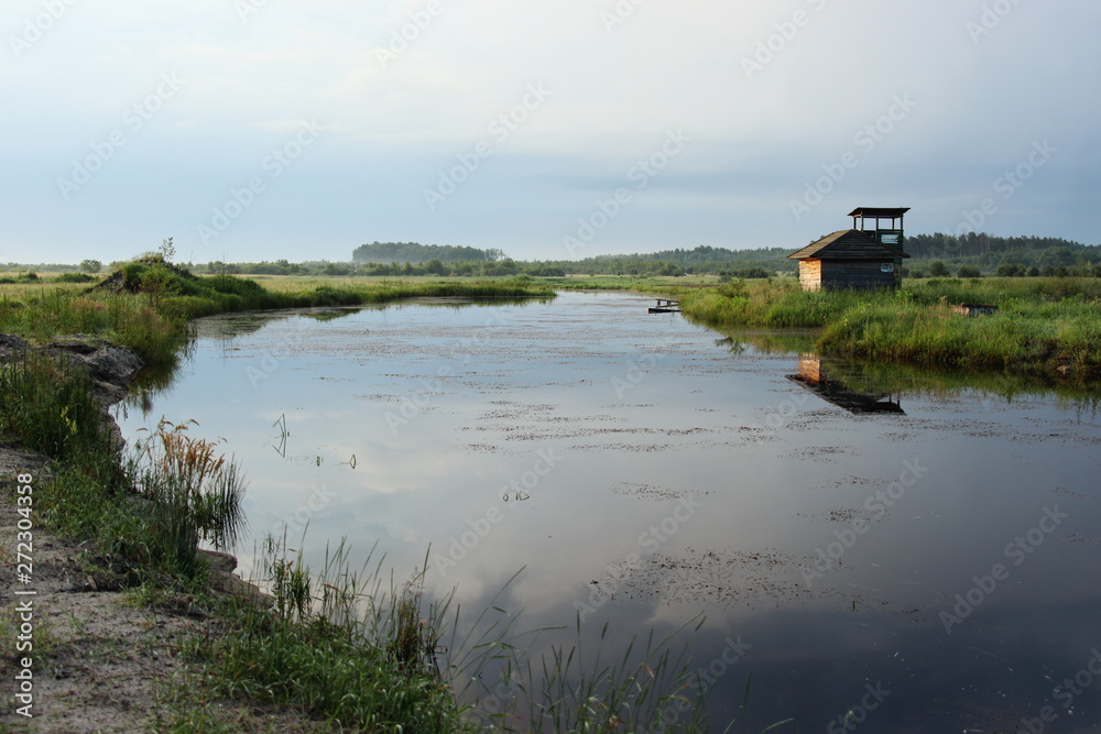 Fototapeta premium becoming, river, arbor, fishing, nature