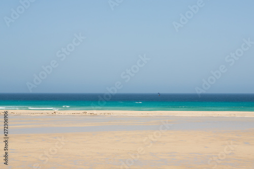 beach on the island of Fuerteventura  Canary Islands