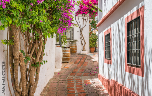 Picturesque sight in Marbella old town, province of Malaga, Spain.