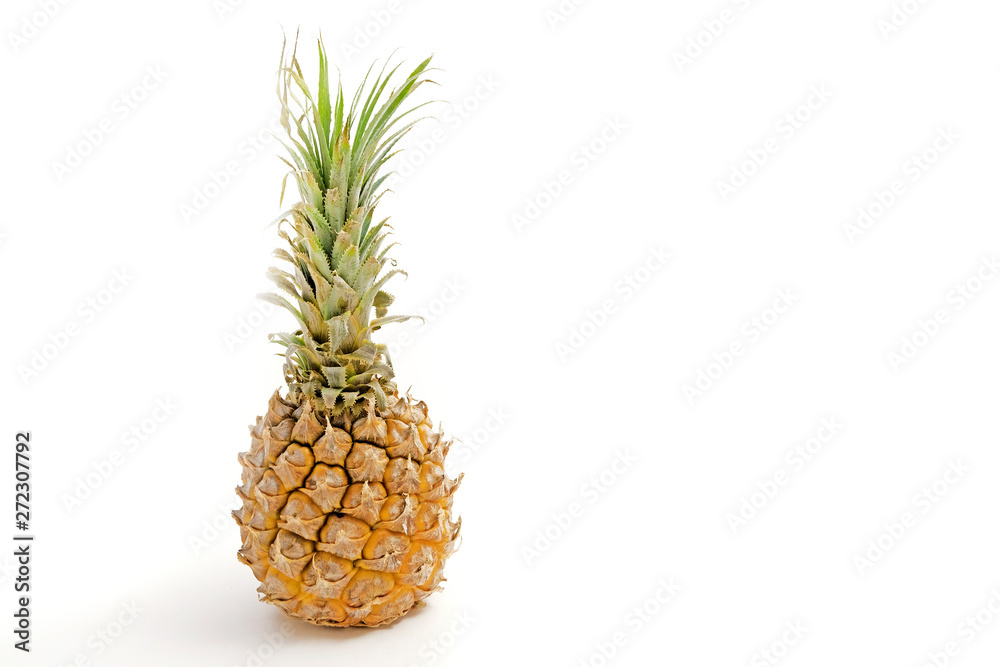 Pineapple with copy space. Fresh whole pineapple fruit on white background with text space. Health and nutrition concept. Label for juice. Pineapple with copy space. Fresh whole pineapple fruit on white background with text space. Health and nutrition concept. Label for juice.