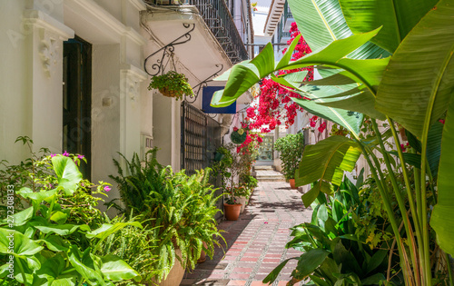 Picturesque sight in Marbella old town, province of Malaga, Spain.