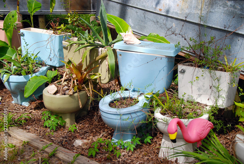 old toilet bowls used as flower pots
