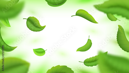 Realistic green falling leaves. Fresh flying blurred leaves isolated on white. Vector background with beauty whirl natural 3D tea leaves