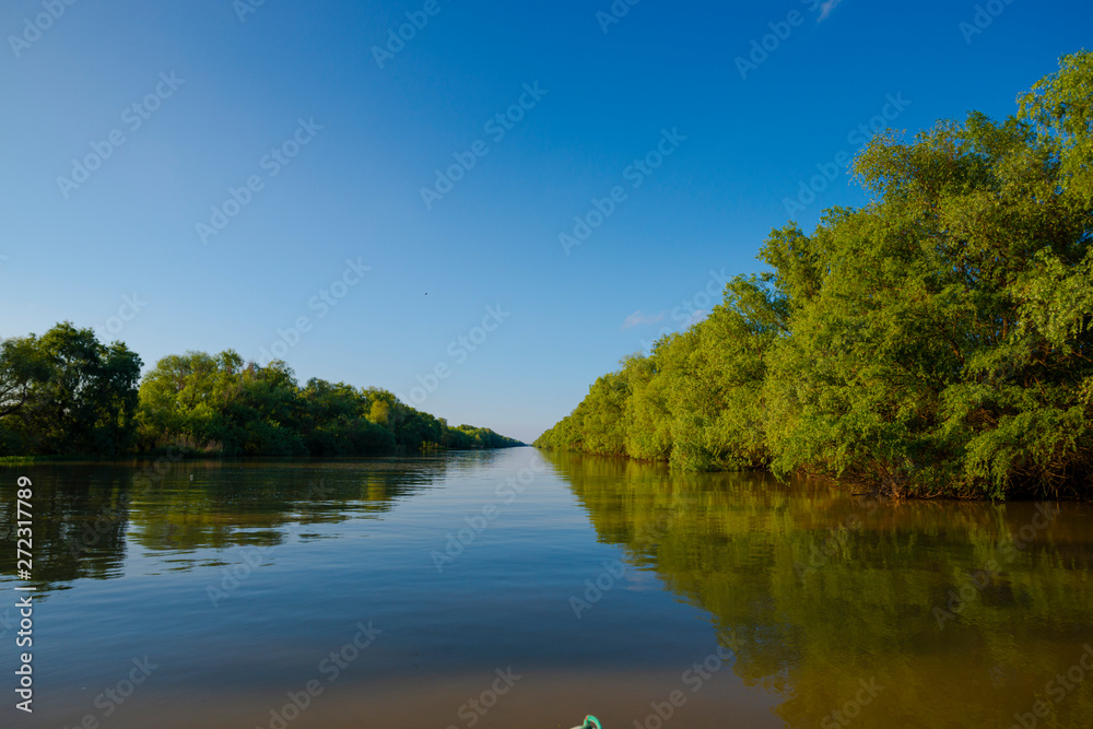 Danube Delta in the springtime