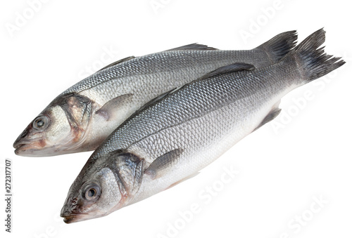 Seabass isolated on white background, clipping path, full depth of field