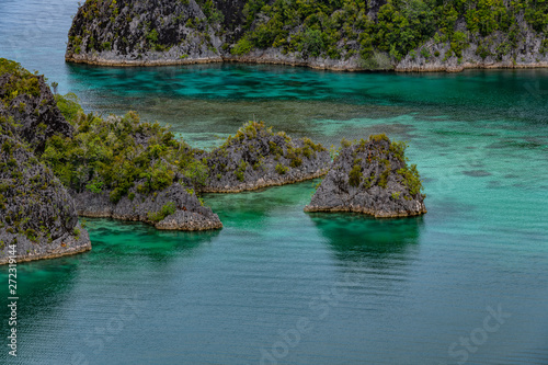 Fototapeta Naklejka Na Ścianę i Meble -  Waigeo, Kri, Mushroom Island, group of small islands in shallow blue lagoon water, Raja Ampat, West Papua, Indonesia