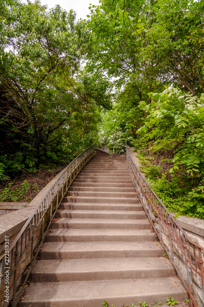 Steps in the woods in Highland Park, located in Pittsburgh, Pennsylvania, USA on a sunny day Steps in the woods in Highland Park, located in Pittsburgh, Pennsylvania, USA on a sunny day