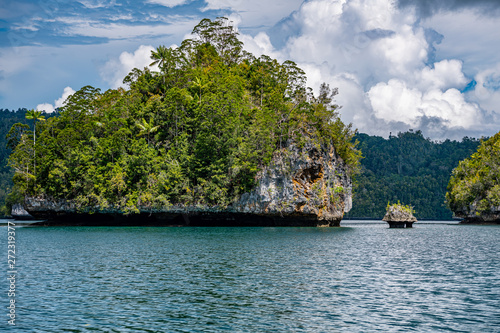 Waigeo, Kri, Mushroom Island, group of small islands in shallow blue lagoon water, Raja Ampat, West Papua, Indonesia