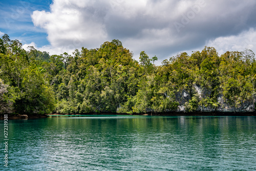 Waigeo  Kri  Mushroom Island  group of small islands in shallow blue lagoon water  Raja Ampat  West Papua  Indonesia