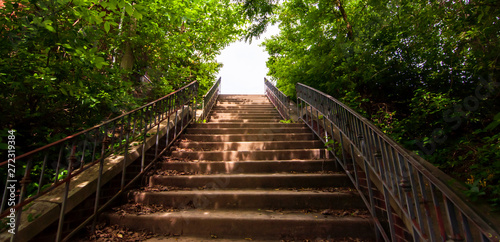 Steps in the woods in Highland Park  located in Pittsburgh  Pennsylvania  USA on a sunny day