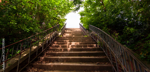 Steps in the woods in Highland Park, located in Pittsburgh, Pennsylvania, USA on a sunny day