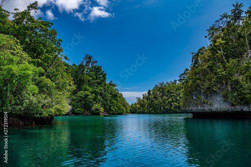 Waigeo, Kri, Mushroom Island, group of small islands in shallow blue lagoon water, Raja Ampat, West Papua, Indonesia photo