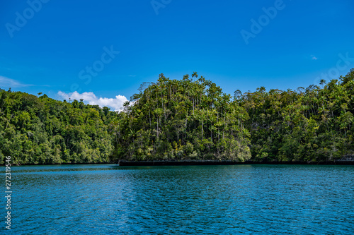 Waigeo, Kri, Mushroom Island, group of small islands in shallow blue lagoon water, Raja Ampat, West Papua, Indonesia