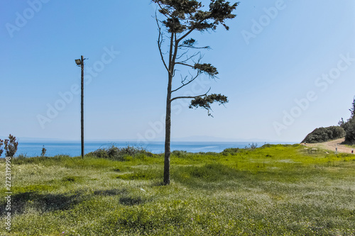 Seascape of coastline of town of Nea Fokea, Kassandra, Chalkidiki, Central Macedonia, Greece photo