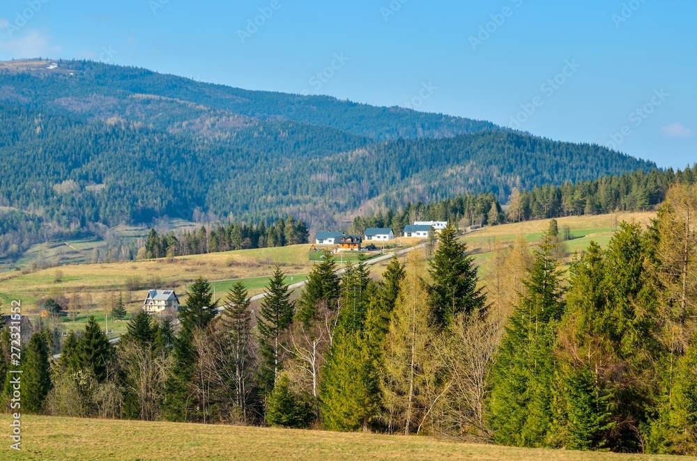Beautiful spring mountain landscape. Houses in the countryside on the hill.