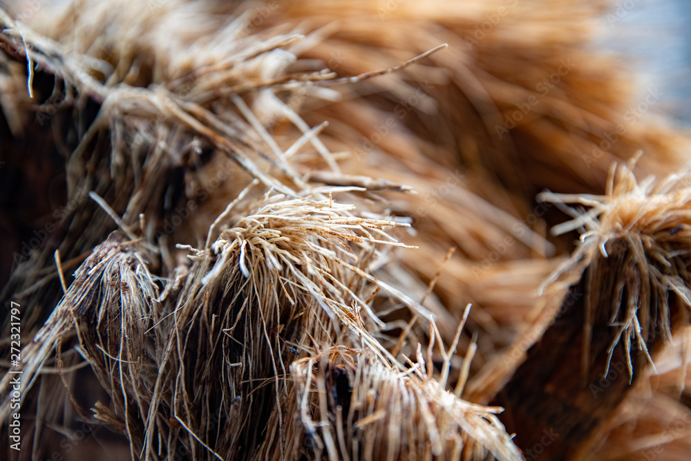 Texture Texture