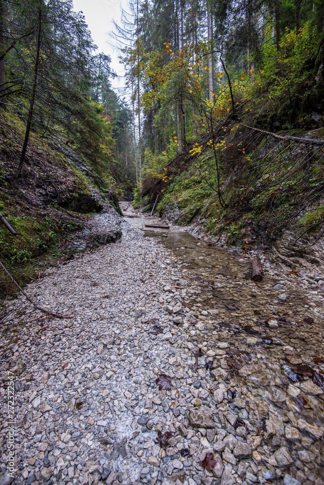 Fototapeta premium wet damp hiking tourist trail with snow leftovers on the sides