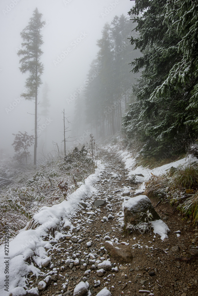 wet damp hiking tourist trail with snow leftovers on the sides wet damp hiking tourist trail with snow leftovers on the sides
