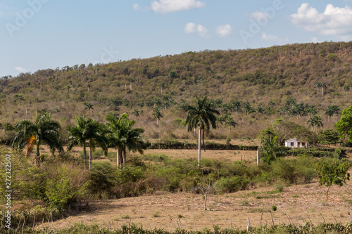 Cuban landscape. Rural countryside. Country house under the hill, surrounded by palm trees. Small pond in front of the house. Around Santa Clara, Cuba