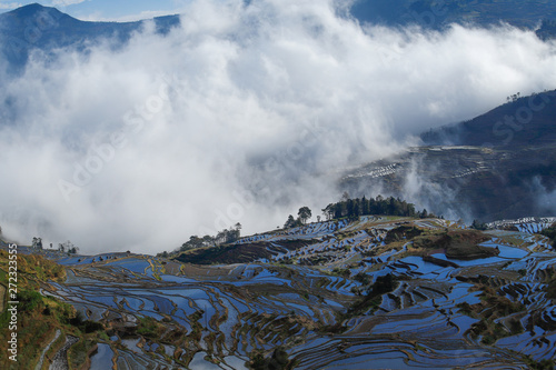 Rice terraces of Yunnan at sunrise with fog, China. The famous terraced rice fields of Yuanyang in Yunnan province in China