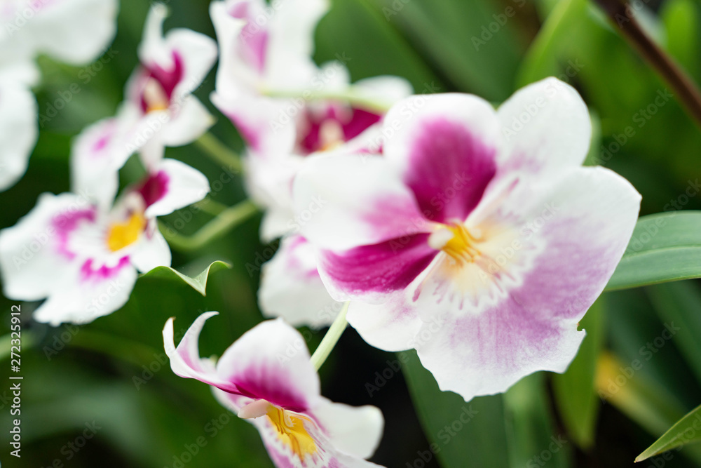 Garden By The Bay Flower dome