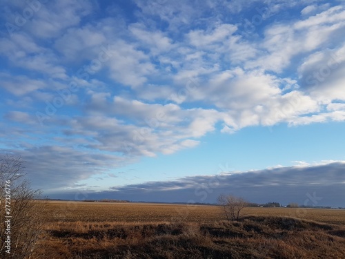 Fototapeta Naklejka Na Ścianę i Meble -  Distant storm clouds approaching puts an end to a beautiful sunny morning on the prairies 