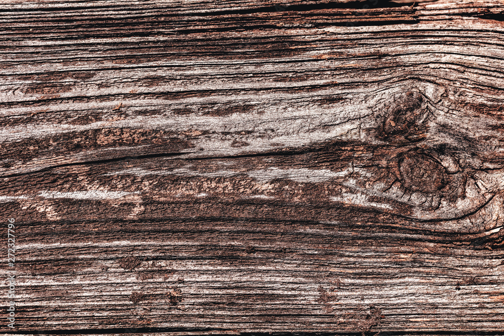Fototapeta premium old wood texture closeup